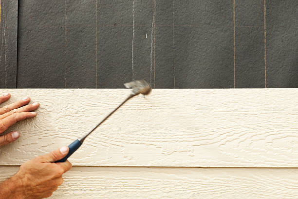 Best Stucco Siding  in Paris, IL