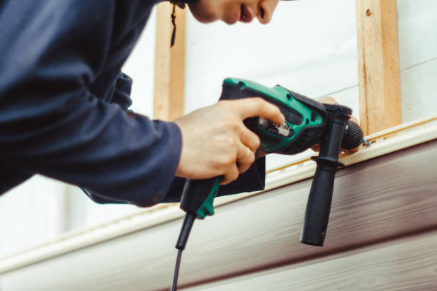 Best Vinyl Siding Installation  in Paris, IL